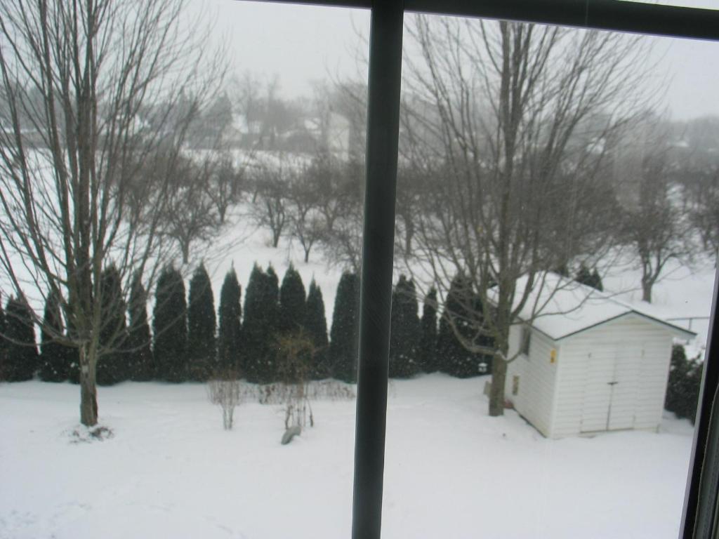 Bed and Breakfast Arnica Bed & Breakfast Niagara-on-the-Lake Exterior foto